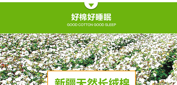 居家模板后半部分600像素_01.jpg